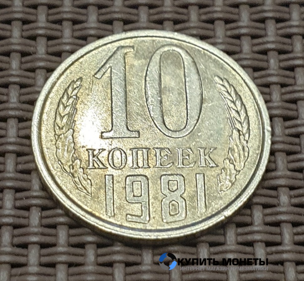 Монета 10 копеек 1981 год