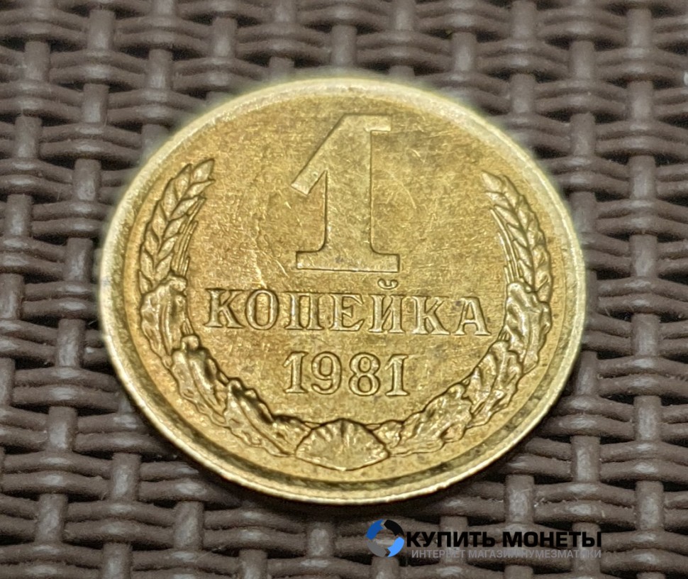 Монета 1 копейка 1981 год